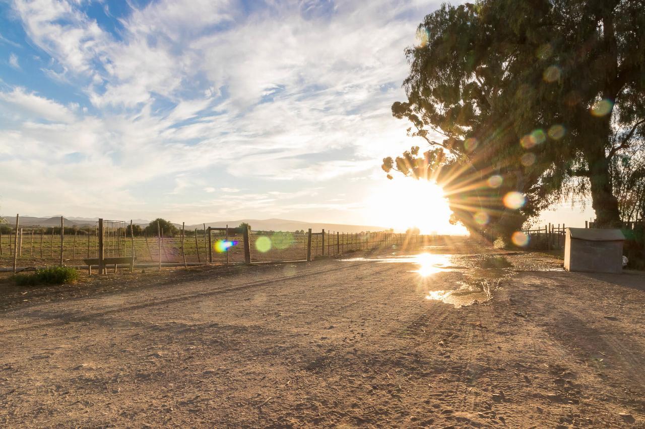 Welgeluk Cottage Oudtshoorn Zewnętrze zdjęcie
